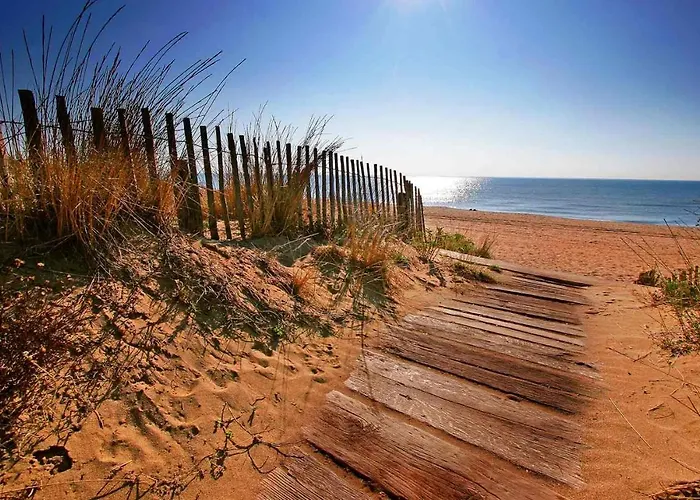 Apartment Les Nereides - T3 A 50m De La - Clim - Terrasse & Bbq - Wifi/netflix Valras-Plage